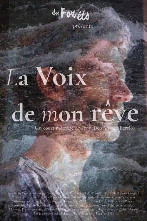 La voix de mon rêve poster