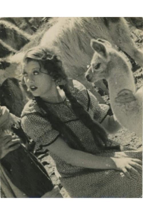 Poncho blanco poster