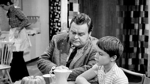 Zdravá vdova 29/169 poster