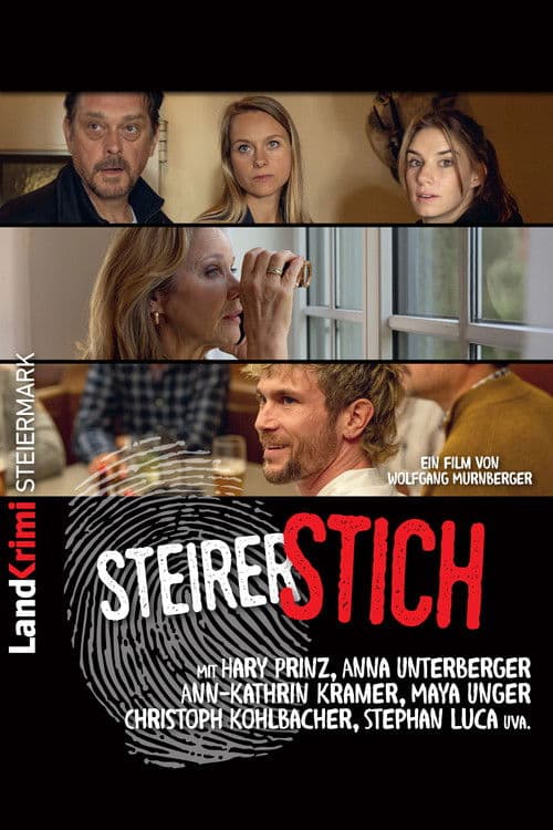 Steirerstich poster