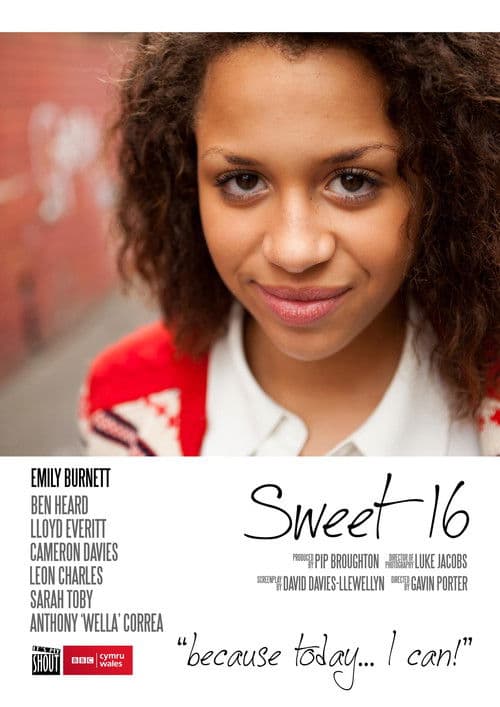 Sweet Sixteen poster