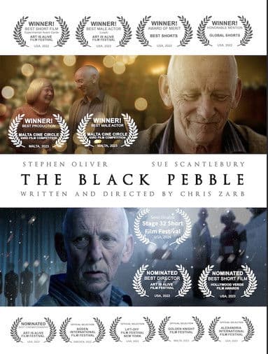 The Black Pebble poster