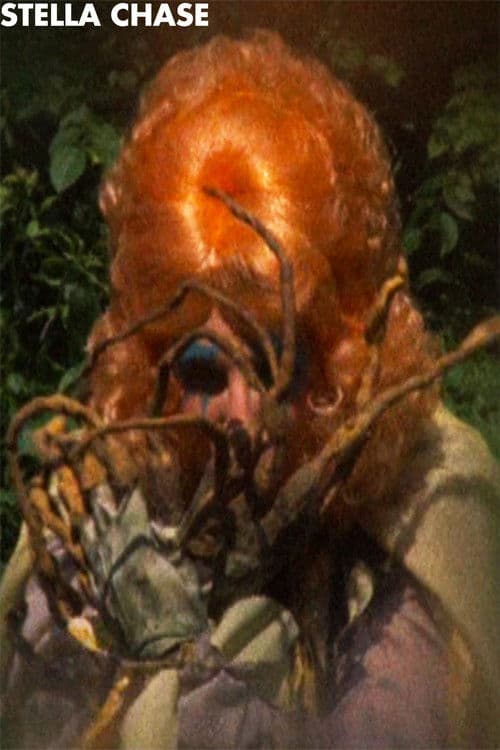 Stella Chase poster