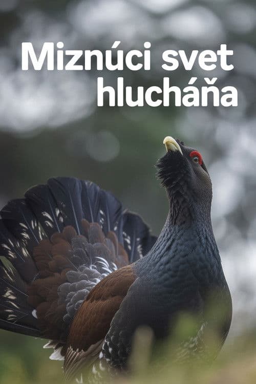 Disappearing World of the Capercaillie poster