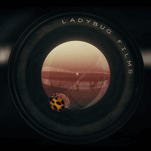 Ladybug Films
