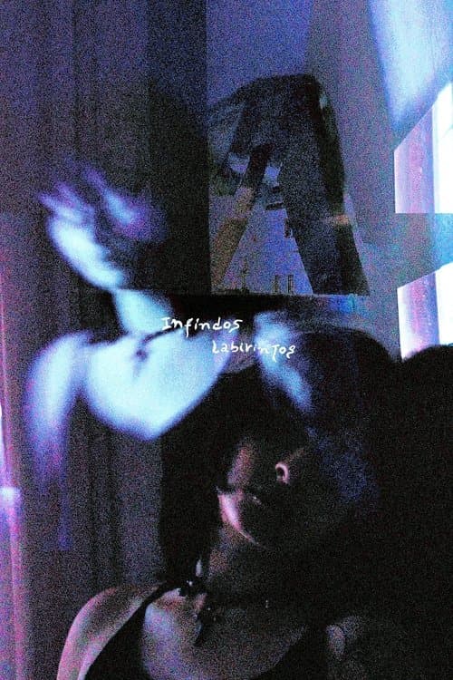 Endless labyrinths poster