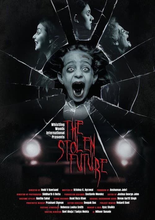 The Stolen Future poster