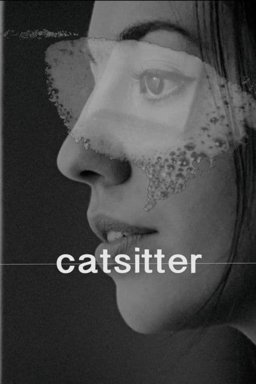 Catsitter poster