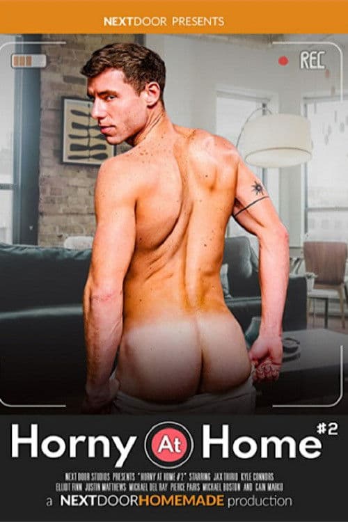 Horny at Home 2 poster