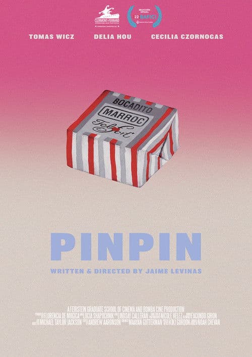 PINPIN poster