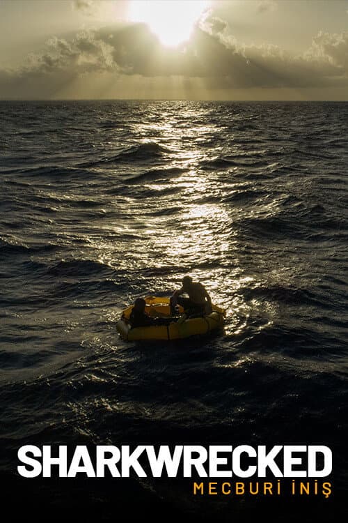 Sharkwrecked: Crash Landing poster