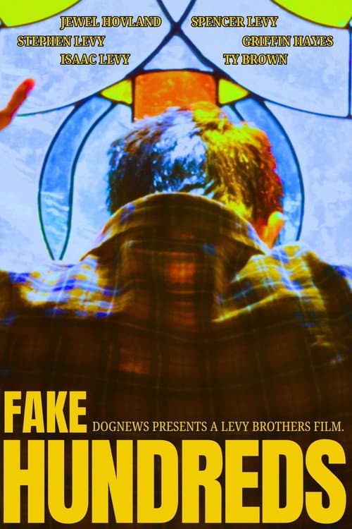 Fake Hundreds poster