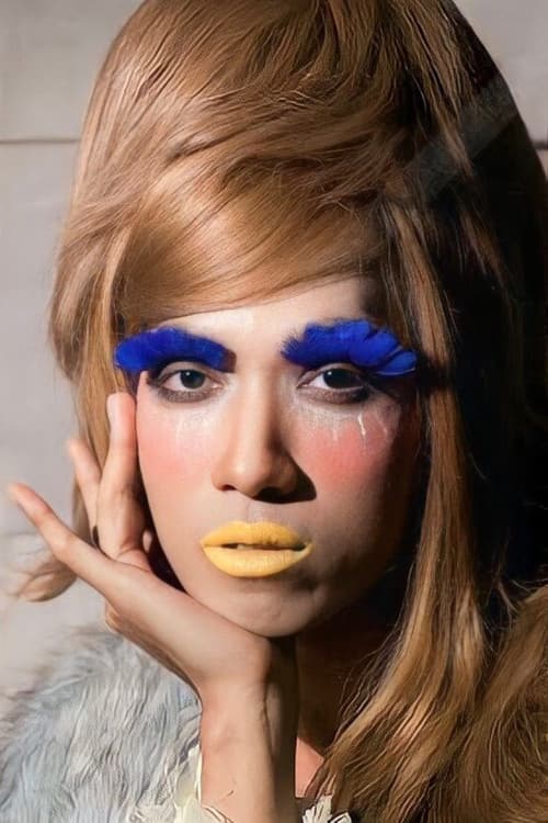 Madame Mod profile photo