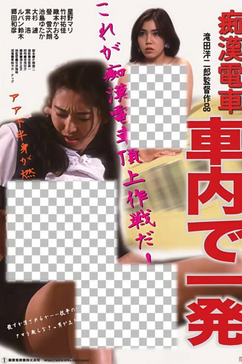 Molester's Train: One Shot on the Train poster