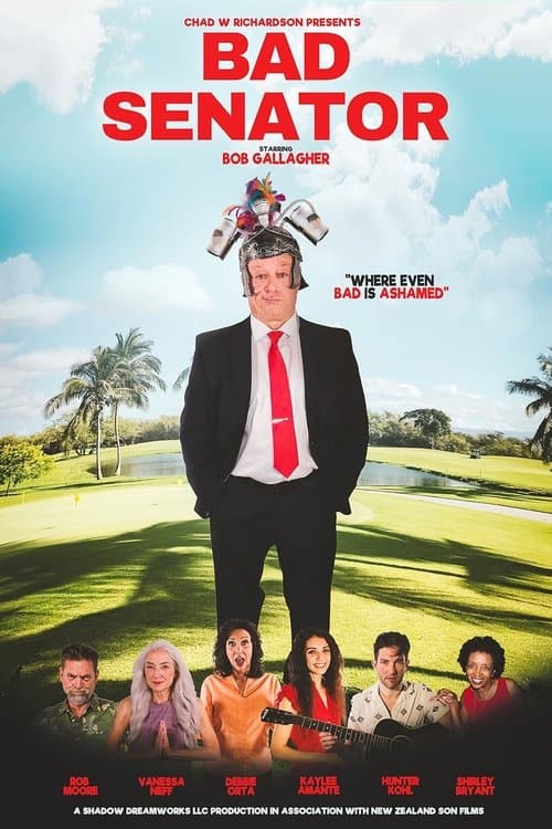 Bad Senator poster