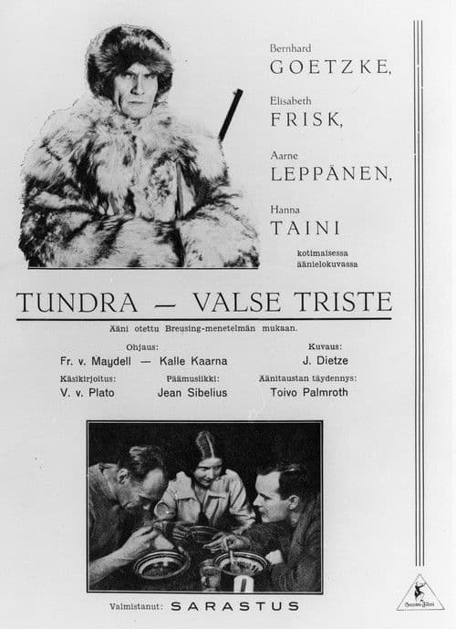 Erämaan turvissa poster