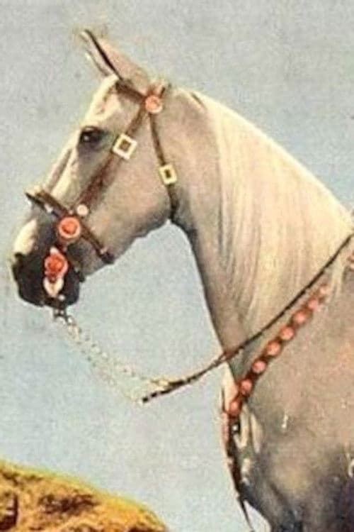 Tarzan profile photo