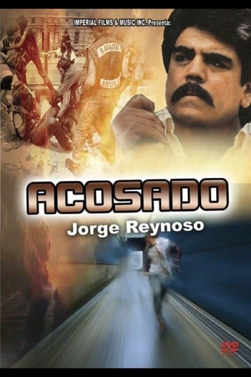 Acosado poster