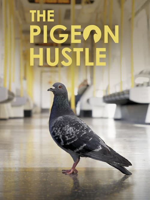 The Pigeon Hustle poster