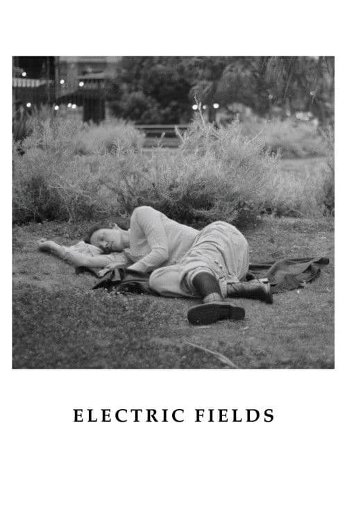 Electric Fields poster