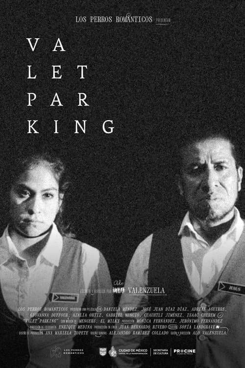 Valet parking poster