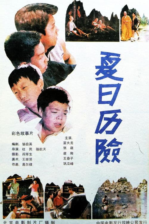 夏日历险 poster