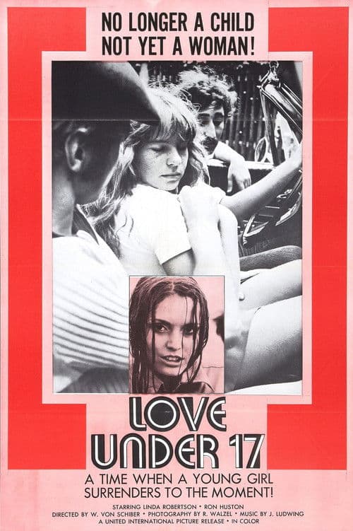 Love Under 17 poster