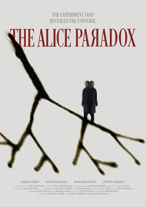 The Alice Paradox poster