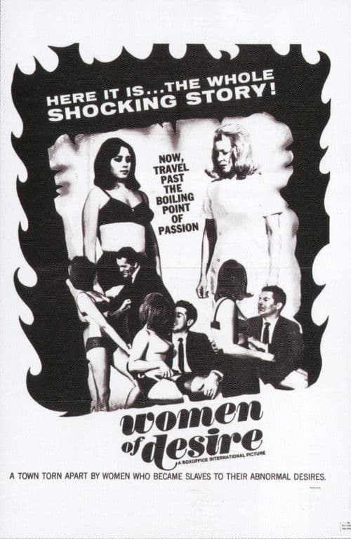 Women of Desire poster