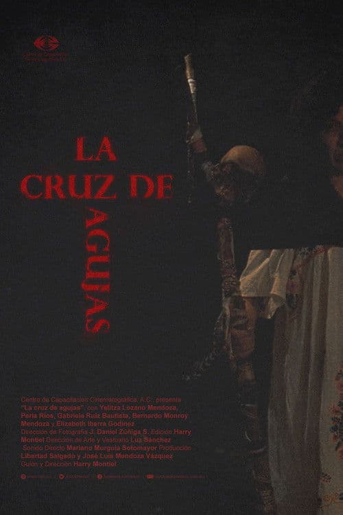 The Needle Cross poster