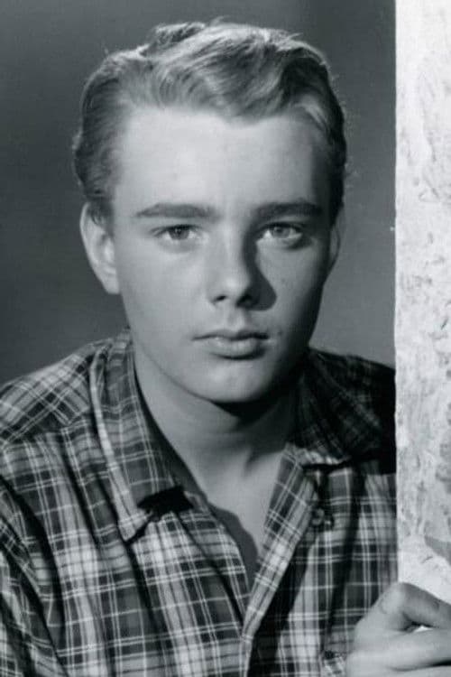 Henrik Huld profile photo