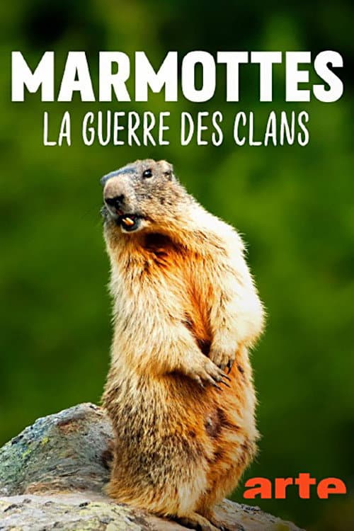 Marmottes la Guerre des Clans poster