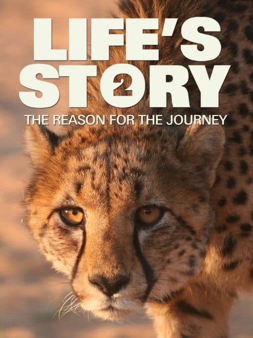 Life's Story 2: The Reason For The Journey poster