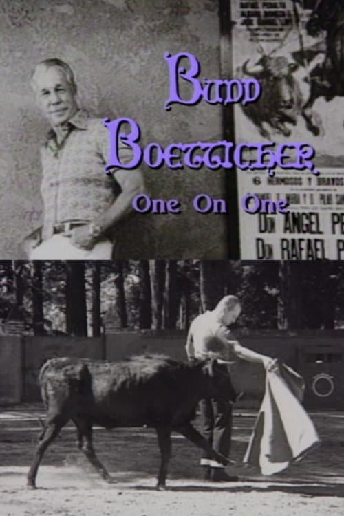 Budd Boetticher: One on One poster