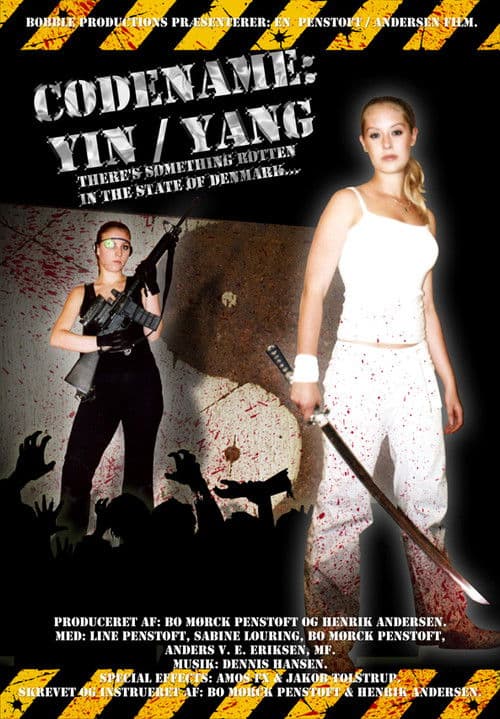 Codename: Yin/Yang poster