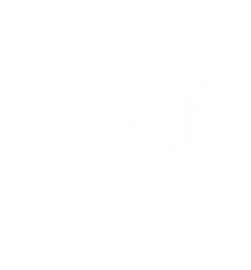 Northern Sheep Cinema