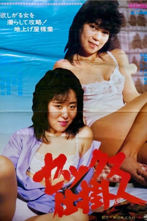 Sex Fixer poster