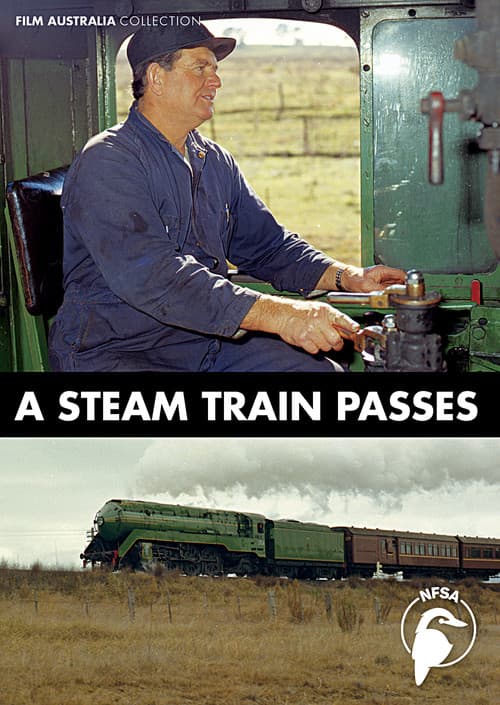 A Steam Train Passes poster