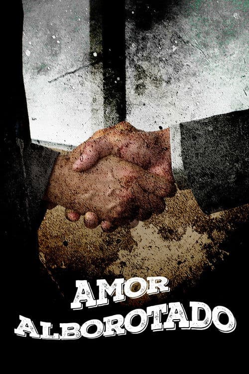 Amor alborotado poster