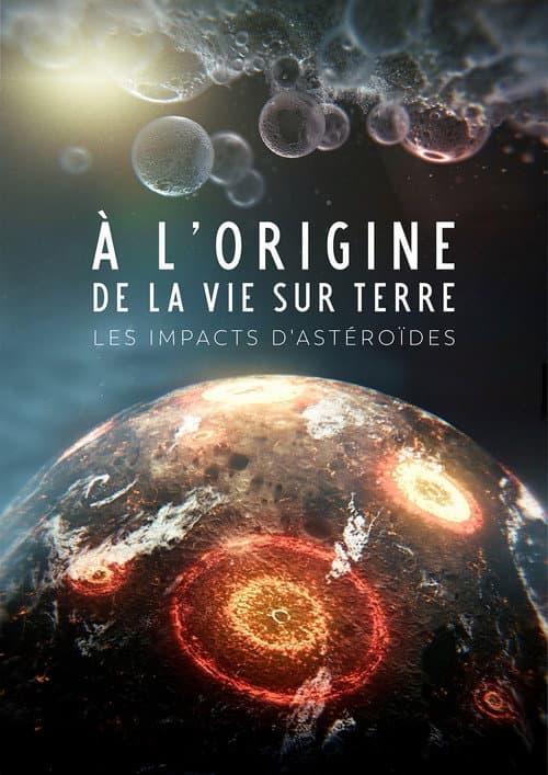 Asteroids: The Spark of Life? poster