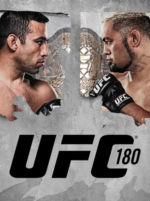 UFC 180: Werdum vs. Hunt poster