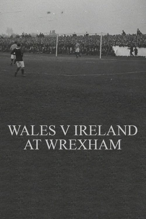 Wales v. Ireland at Wrexham poster