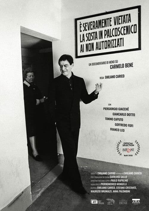 È severamente vietata la sosta in palcoscenico ai non autorizzati. Un documentario di meno su Carmelo Bene poster