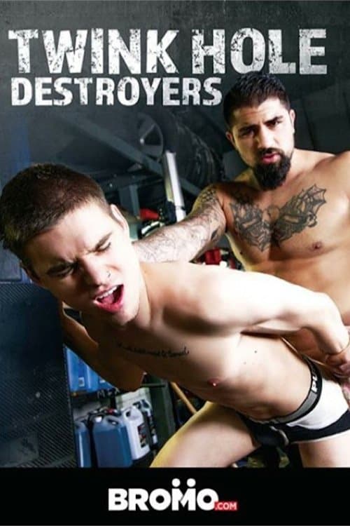 Twink Hole Destroyers poster