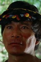 David Pérez Espinosa profile photo