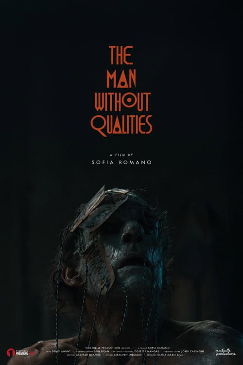 The Man Without Qualities poster