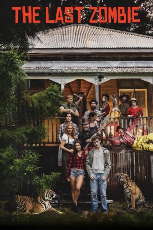 The Last Zombie poster