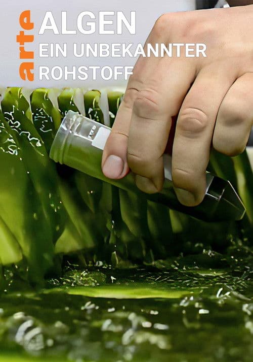 Algen: Ein unbekannter Rohstoff poster