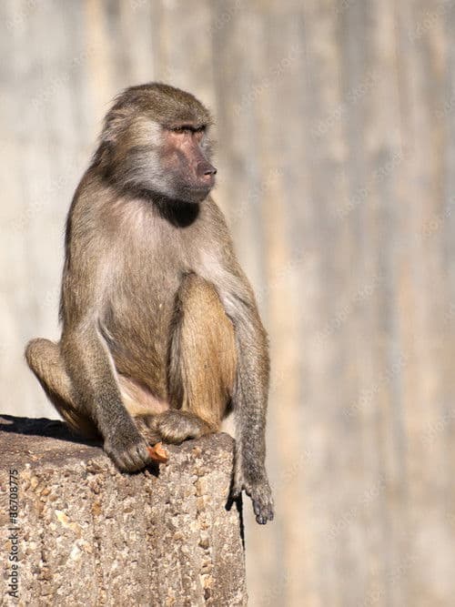 UNTITLED UNMASTERED poster