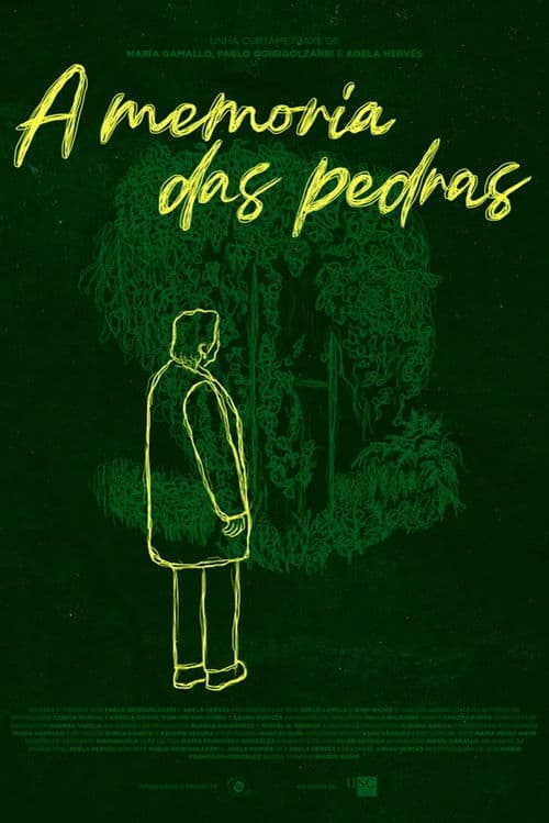 A memoria das pedras poster